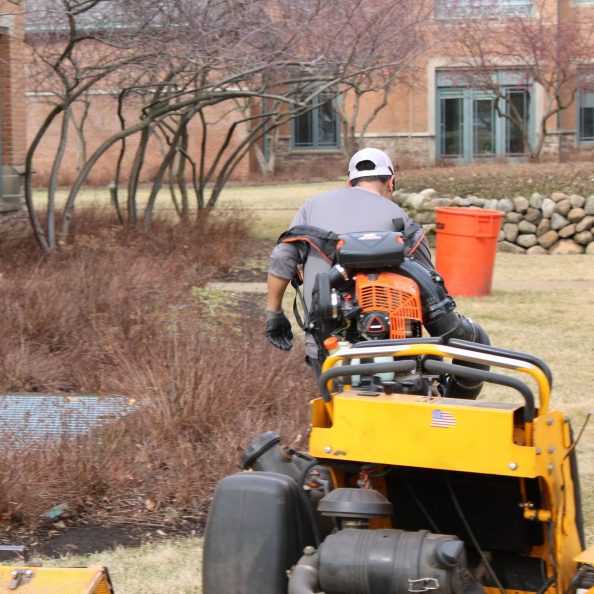 Professional landscape maintenance services