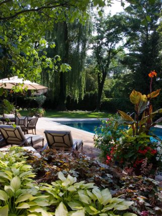 Poolside oasis full of lush flowers and plants