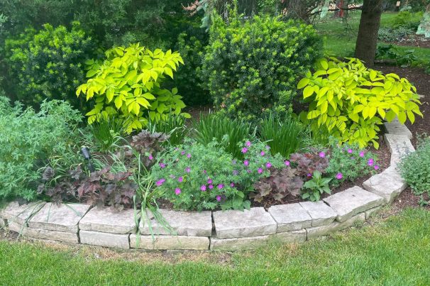 Landscaped flower bed with green and purple plants.